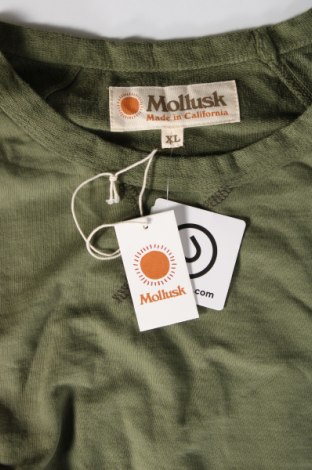 Damen Shirt Mollusk, Größe XL, Farbe Grün, Preis 69,38 €