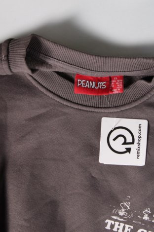 Γυναικεία μπλούζα Peanuts, Μέγεθος XL, Χρώμα Γκρί, Τιμή 11,75 €
