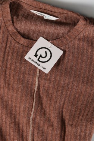 Γυναικεία μπλούζα Primark, Μέγεθος S, Χρώμα Καφέ, Τιμή 1,76 €