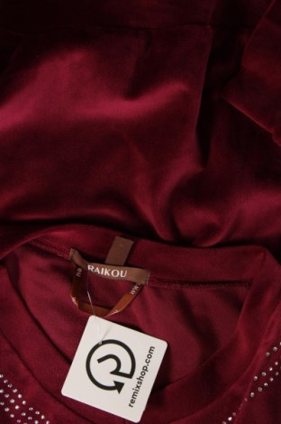 Γυναικεία μπλούζα Raikou, Μέγεθος M, Χρώμα Βιολετί, Τιμή 3,22 €