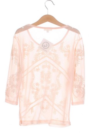 Damen Shirt River Island, Größe XS, Farbe Rosa, Preis € 10,44