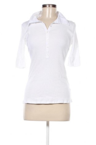 Damen Shirt Schiesser, Größe XL, Farbe Weiß, Preis 23,66 €
