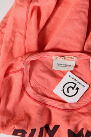 Γυναικεία μπλούζα Scotch & Soda, Μέγεθος XS, Χρώμα Ρόζ , Τιμή 6,96 €