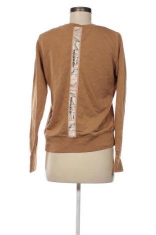 Damen Shirt Scotch & Soda, Größe S, Farbe Braun, Preis € 28,70