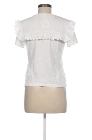 Damen Shirt Scotch & Soda, Größe XS, Farbe Weiß, Preis € 18,41