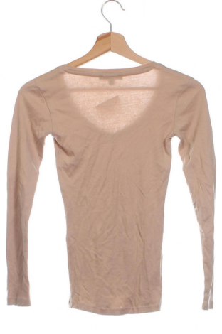 Γυναικεία μπλούζα Tally Weijl, Μέγεθος XXS, Χρώμα  Μπέζ, Τιμή 18,45 €