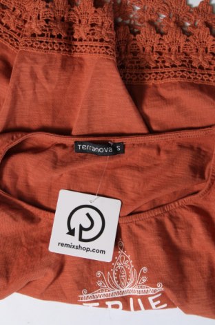 Γυναικεία μπλούζα Terranova, Μέγεθος S, Χρώμα Καφέ, Τιμή 4,58 €