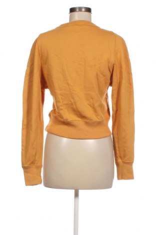 Damen Shirt Uniqlo, Größe S, Farbe Gelb, Preis 23,66 €