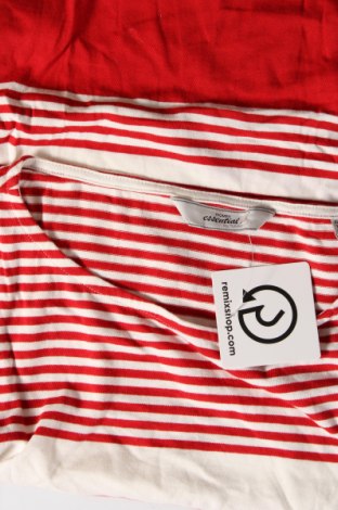 Damen Shirt Women by Tchibo, Größe S, Farbe Mehrfarbig, Preis 13,22 €