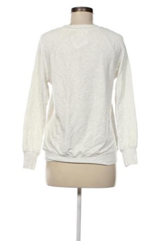 Damen Shirt Workshop, Größe XS, Farbe Grau, Preis € 4,73