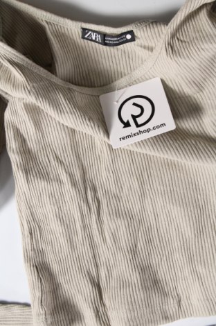 Damen Shirt Zara, Größe M, Farbe Grün, Preis 4,13 €