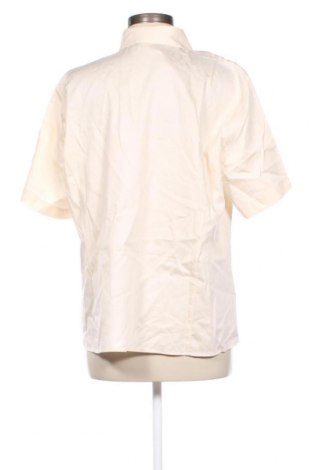 Γυναικείο πουκάμισο, Μέγεθος XL, Χρώμα  Μπέζ, Τιμή 19,14 €