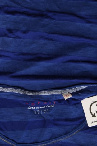 Γυναικείο t-shirt Esprit, Μέγεθος M, Χρώμα Μπλέ, Τιμή 9,90 €