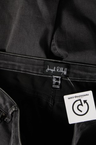 Damen Jeans Joseph Ribkoff, Größe XXL, Farbe Grau, Preis 52,19 €