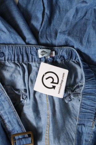 Damen Jeans Lee Cooper, Größe XL, Farbe Blau, Preis 13,68 €