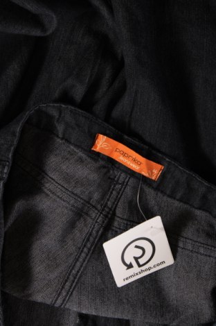 Dámske džínsy  Paprika, Veľkosť XL, Farba Modrá, Cena  7,67 €