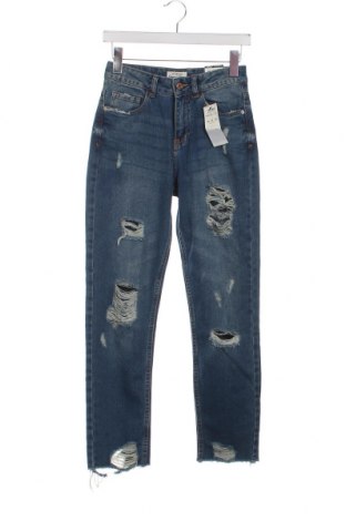 Damen Jeans Terranova, Größe S, Farbe Blau, Preis € 23,53