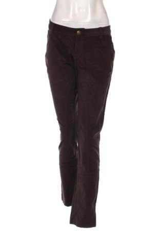 Pantaloni de velvet de femei Colours Of The World, Mărime XL, Culoare Maro, Preț 52,46 Lei