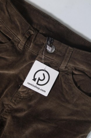 Pantaloni de velvet de femei Jbc, Mărime XS, Culoare Maro, Preț 22,70 Lei