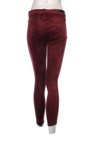 Pantaloni de velvet de femei Paige, Mărime S, Culoare Roșu, Preț 25,99 Lei