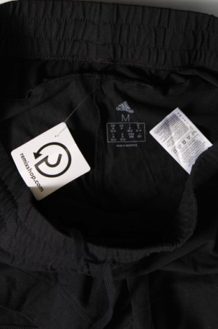 Damen Shorts Adidas, Größe M, Farbe Schwarz, Preis 39,69 €