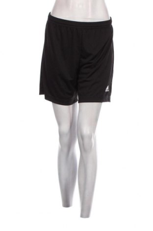 Damen Shorts Adidas, Größe M, Farbe Schwarz, Preis 17,86 €