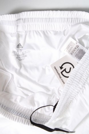 Дамски къс панталон Adidas, Размер L, Цвят Бял, Цена 29,38 лв.