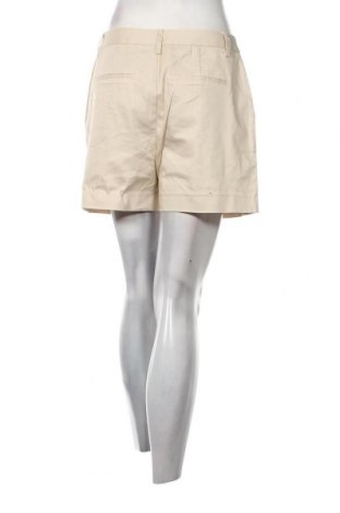 Damen Shorts Scotch & Soda, Größe M, Farbe Beige, Preis € 33,87