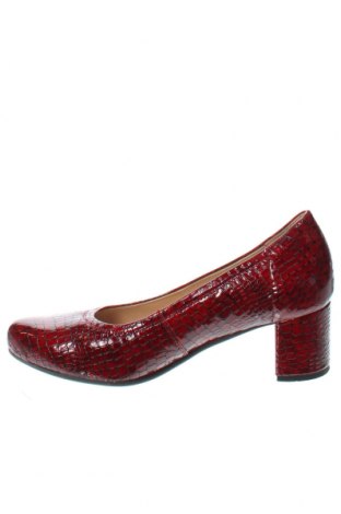 Damenschuhe, Größe 38, Farbe Rot, Preis 11,98 €