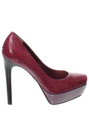 Γυναικεία παπούτσια Bebe, Μέγεθος 35, Χρώμα Βιολετί, Τιμή 45,52 €