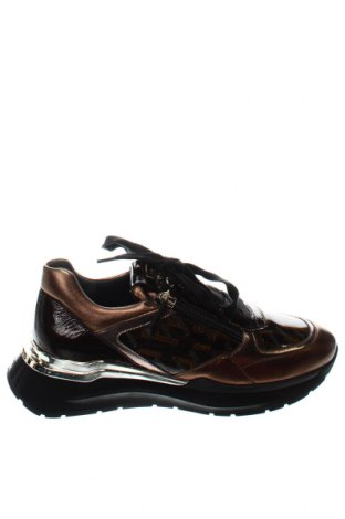 Γυναικεία παπούτσια Hogl, Μέγεθος 36, Χρώμα Πολύχρωμο, Τιμή 81,96 €