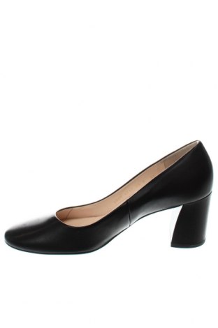 Γυναικεία παπούτσια Hogl, Μέγεθος 41, Χρώμα Μαύρο, Τιμή 144,85 €