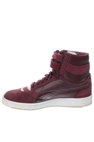 Damenschuhe PUMA, Größe 38, Farbe Lila, Preis € 37,62