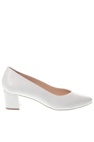 Γυναικεία παπούτσια Salamander, Μέγεθος 38, Χρώμα Λευκό, Τιμή 104,64 €
