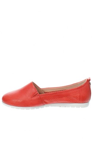 Damenschuhe Salamander, Größe 37, Farbe Rot, Preis 104,64 €