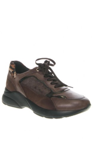 Γυναικεία παπούτσια Salamander, Μέγεθος 37, Χρώμα Καφέ, Τιμή 62,78 €