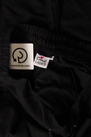 Дамски панталон Casual Ladies, Размер L, Цвят Черен, Цена 29,00 лв.