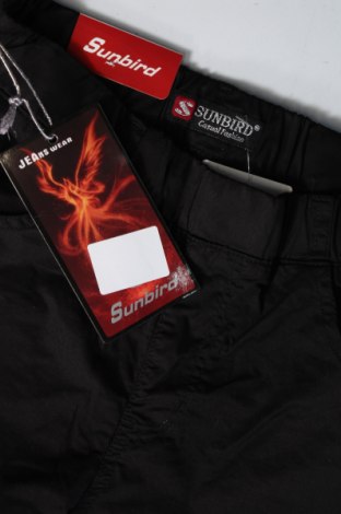 Damenhose Sunbird, Größe M, Farbe Schwarz, Preis € 5,49