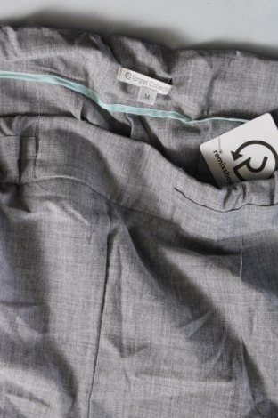 Damenhose Target, Größe XL, Farbe Grau, Preis € 4,99