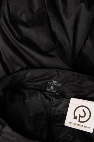 Γυναίκειο παντελόνι για χειμερινά σπορ Crane, Μέγεθος S, Χρώμα Μαύρο, Τιμή 18,56 €