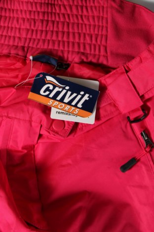 Дамски панталон за зимни спортове Crivit, Размер XL, Цвят Розов, Цена 39,60 лв.