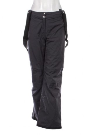Дамски панталон за зимни спортове Dare 2B, Размер L, Цвят Сив, Цена 24,75 лв.