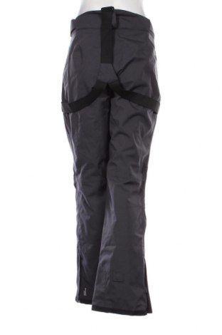 Γυναίκειο παντελόνι για χειμερινά σπορ Dare 2B, Μέγεθος L, Χρώμα Γκρί, Τιμή 12,06 €