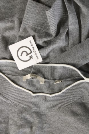 Damenpullover Esprit, Größe S, Farbe Grau, Preis 13,98 €