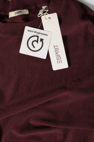 Γυναικείο πουλόβερ Esprit, Μέγεθος M, Χρώμα Βιολετί, Τιμή 19,18 €