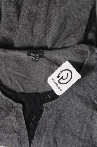 Γυναικείο πουλόβερ Iwie, Μέγεθος L, Χρώμα Γκρί, Τιμή 7,18 €