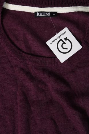 Γυναικείο πουλόβερ Janina, Μέγεθος XL, Χρώμα Βιολετί, Τιμή 9,51 €