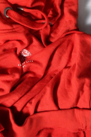 Damen Sweatshirt, Größe L, Farbe Orange, Preis € 5,05