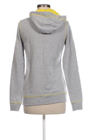 Damen Sweatshirt BVB, Größe S, Farbe Grau, Preis 7,79 €