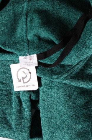 Damen Sweatshirt Danskin, Größe L, Farbe Grün, Preis 6,66 €